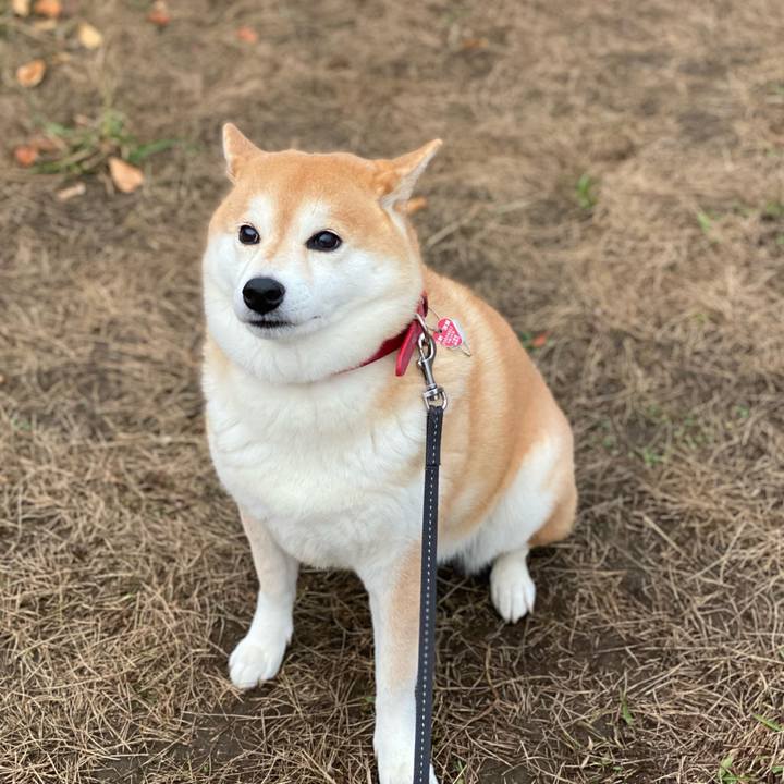 07c7a97b c0c2 4a6d a943 6732c0c8ee8e 1606313409230