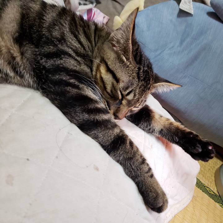 07c7c7a0 e973 4793 bc8c 6fa8860b8556 1542859945731