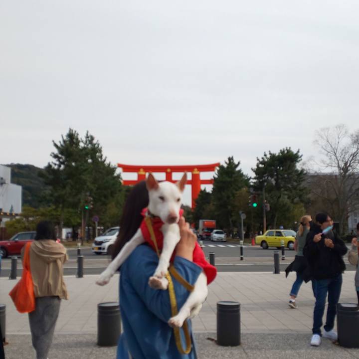 07c80454 f461 4921 9115 56e29b2a56e2 1555143135461