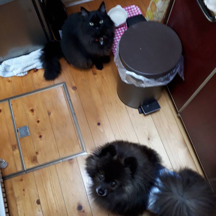 07c82e95 2ae1 44a2 9dd4 f3d79ea1e363 1522098334248