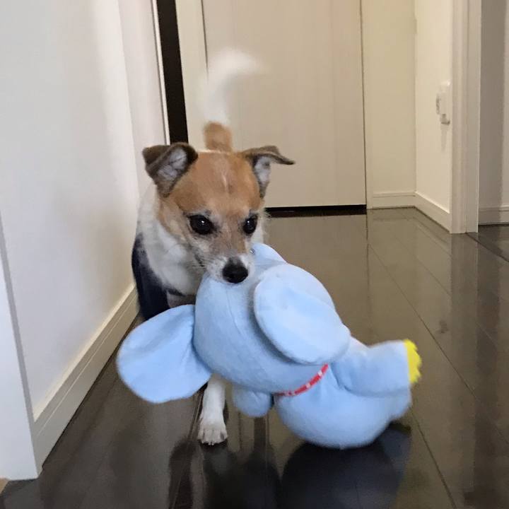 07c8788b b380 4e83 97b6 d89a5afff35f 1561432551996