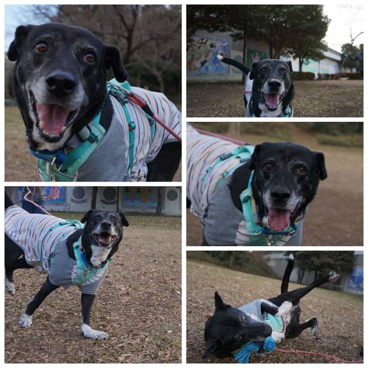 07c87af0 95a2 49cf b351 7df93756acff 1769474517216