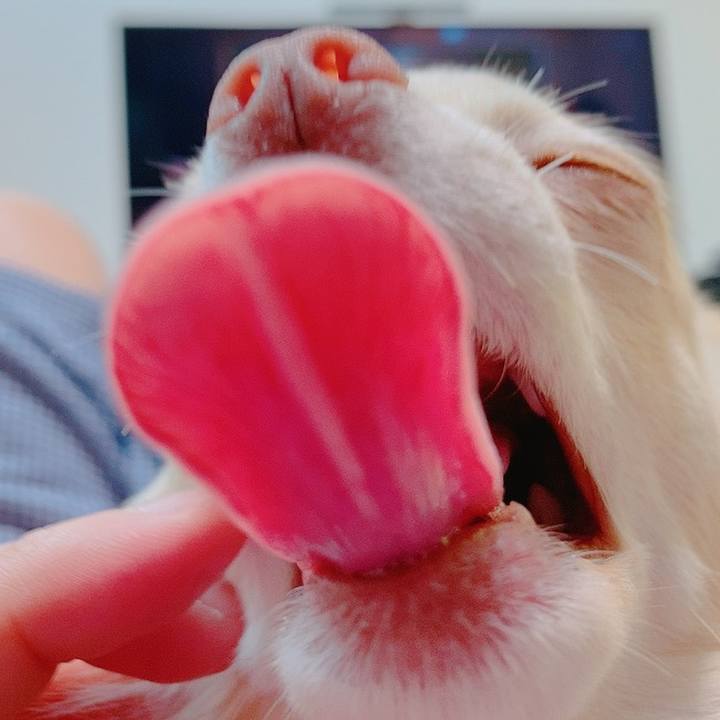 07c88d3d 8206 4c66 81f3 1d5d33af124d 1621646317442