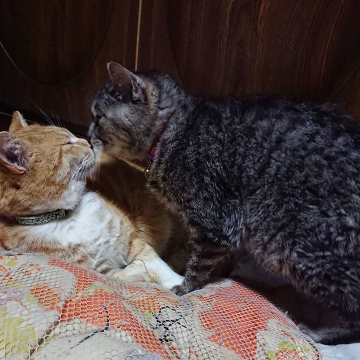 07c896ee 8f62 40a1 b520 d9fad90e6fd7 1584362413576