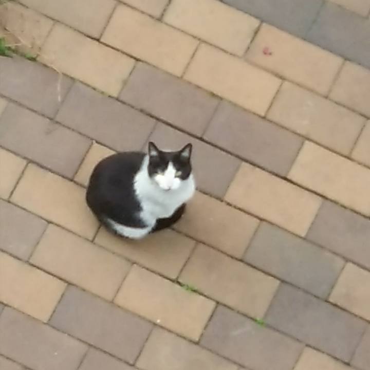 07c8a3c2 b6ff 45f9 b313 a474ab4d1961 1523052532309