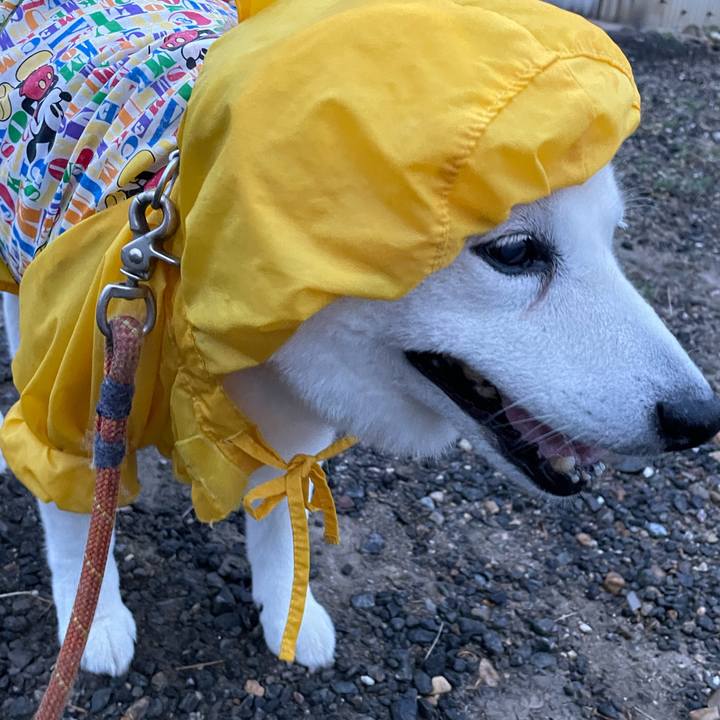 07c8d26a 3953 41b4 bad6 305a40d48a5e 1654427948012