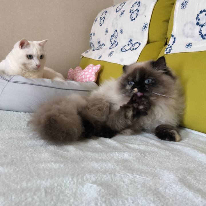 07c9020b 47c7 461f a050 de0a6157267a 1643976032624