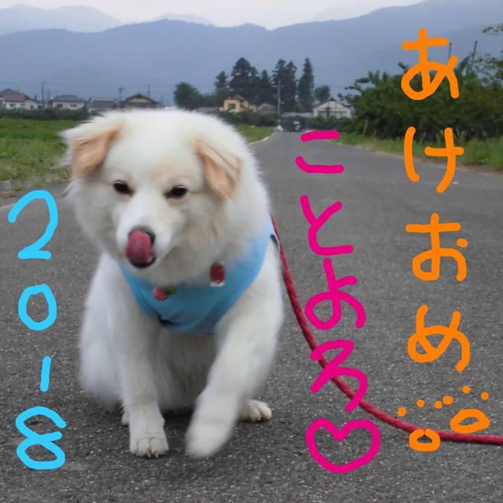 07c93cce bc2e 4edb 9988 f3b3bd8051b1 1514758066530