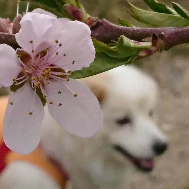 07c95f17 0724 430c 9366 6efe774d0b9f 1523397048025