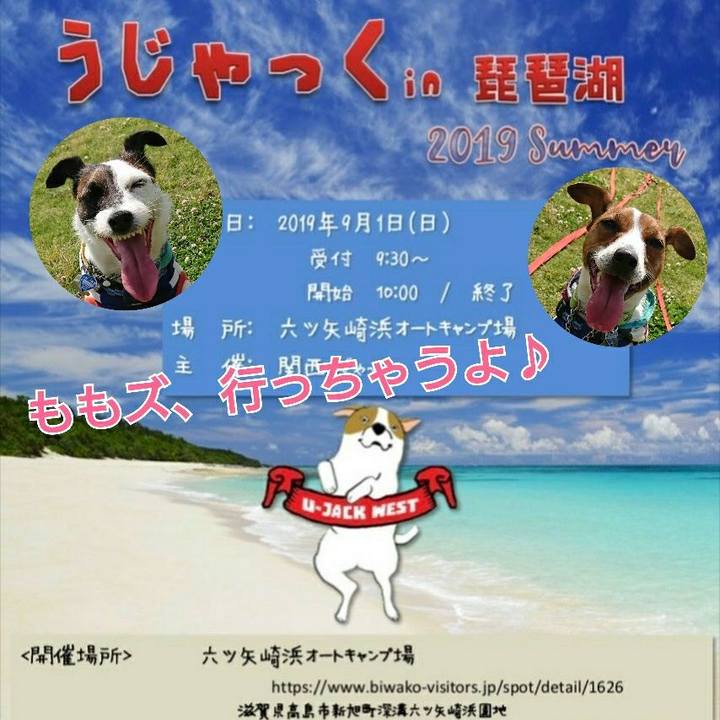 07c967fe afab 44f5 81db b8554eee375c 1567119186792