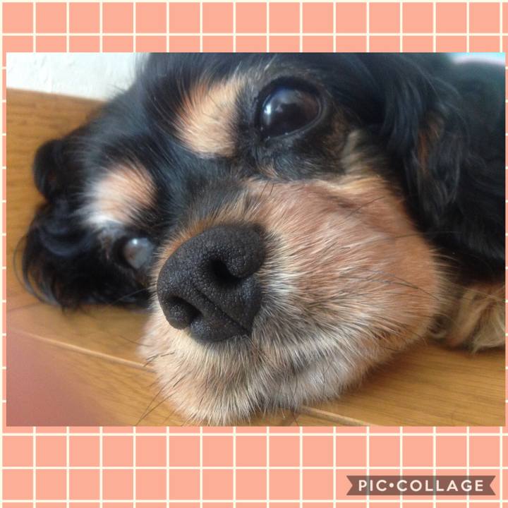 07c97082 1092 4385 b5fa 024290f79859 1562852462379