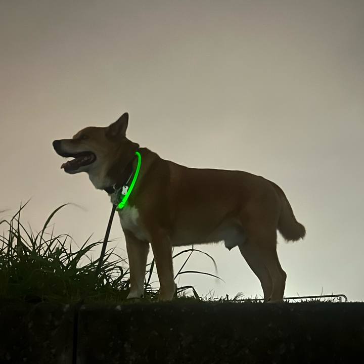 07c98725 d9b1 468b b9f0 0e54b4fb813e 1757499513466