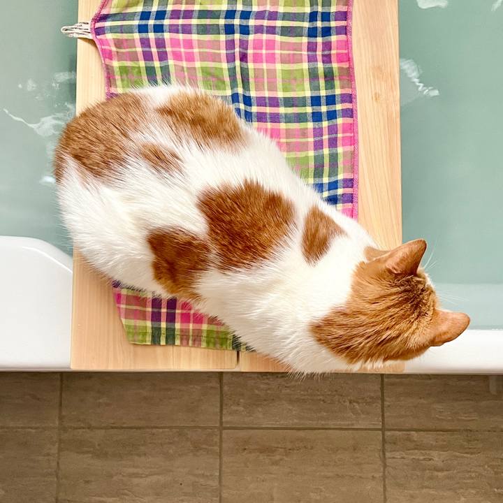 07c9a19a 5421 4418 a3db d1b17abe1236 1768477311284