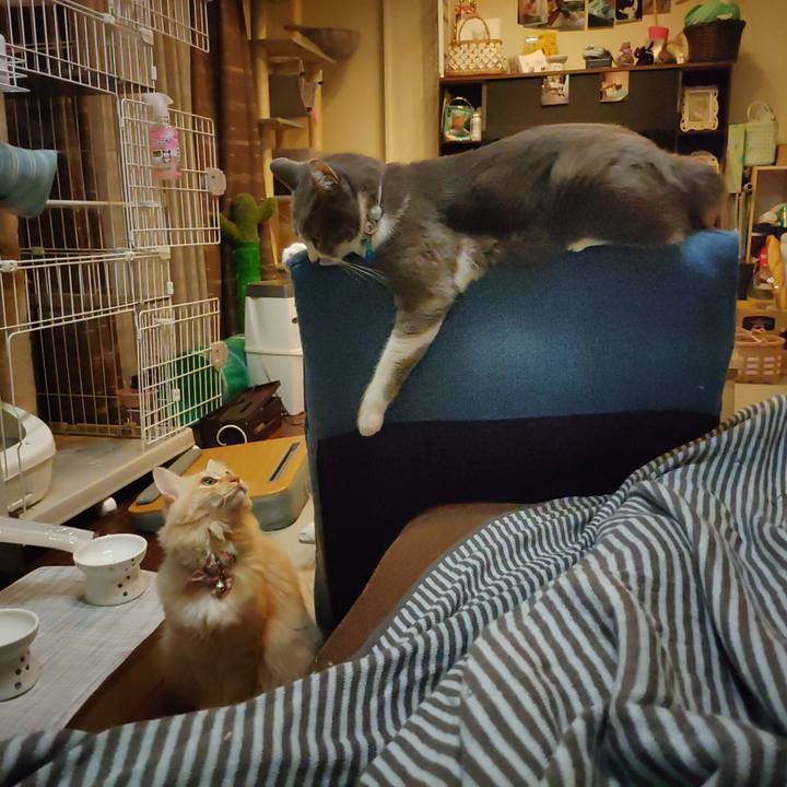 07c9f5c5 b6cc 42c7 a431 f69a2028158a 1665243112883