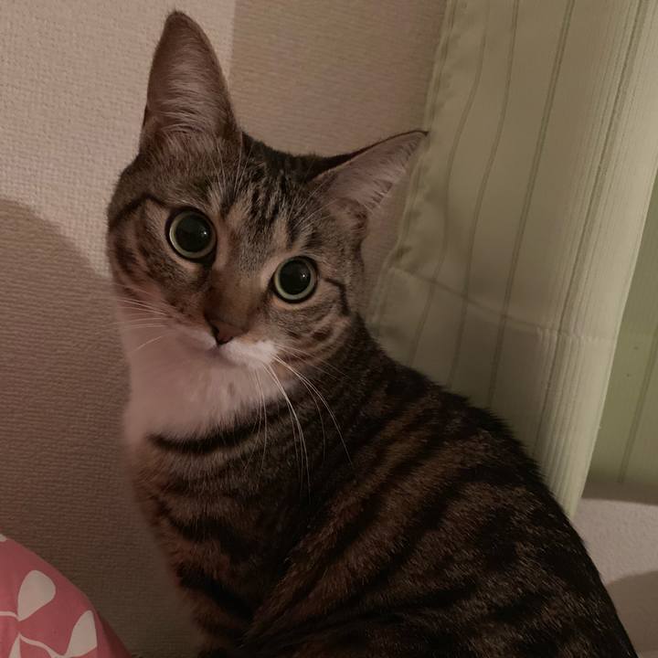 07c9fa1c d6fb 4de8 b357 15e6f96c5269 1554163794151