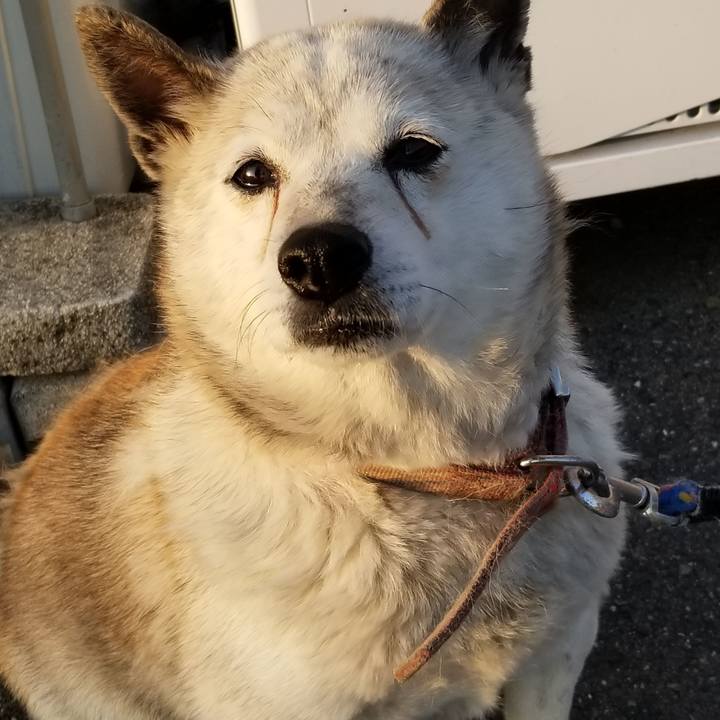 07ca38b9 9d6c 4042 be56 8534beaf5106 1659143692248