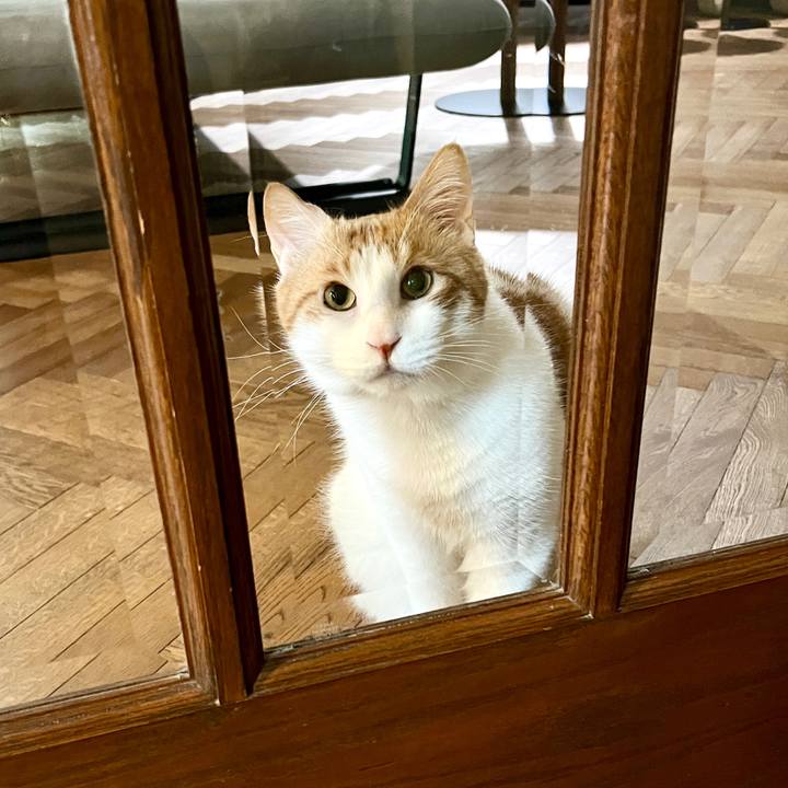 07ca41af 09fa 4490 9a2c c2f1f2043e7f 1760181857762