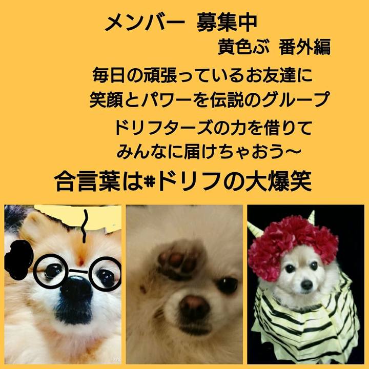 07ca6059 927e 465d 8cf7 9895deb3ce09 1518734457603