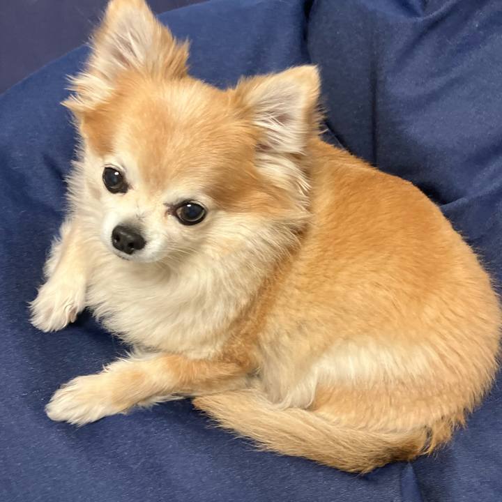 07ca6c0a faef 4dd1 9a34 f692c2bb3355 1769248846544