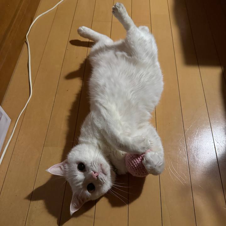 07ca8703 e6d7 48f8 82b1 8b9da5e35320 1764690883084