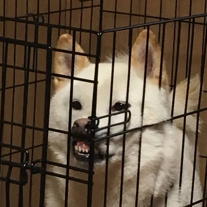 07caa779 a3d0 43c7 85b2 d58c779d708a 1532344783579