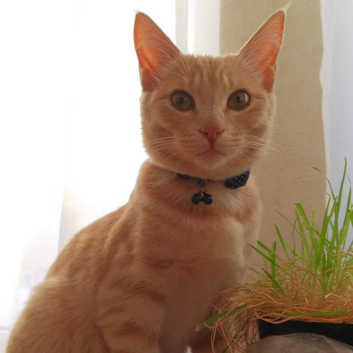 07cab357 539b 4e67 9086 d134f2934593 1546299587842