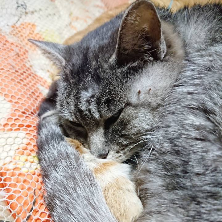 07cac238 952e 47cf b96b 466f53b8f2eb 1577535744361