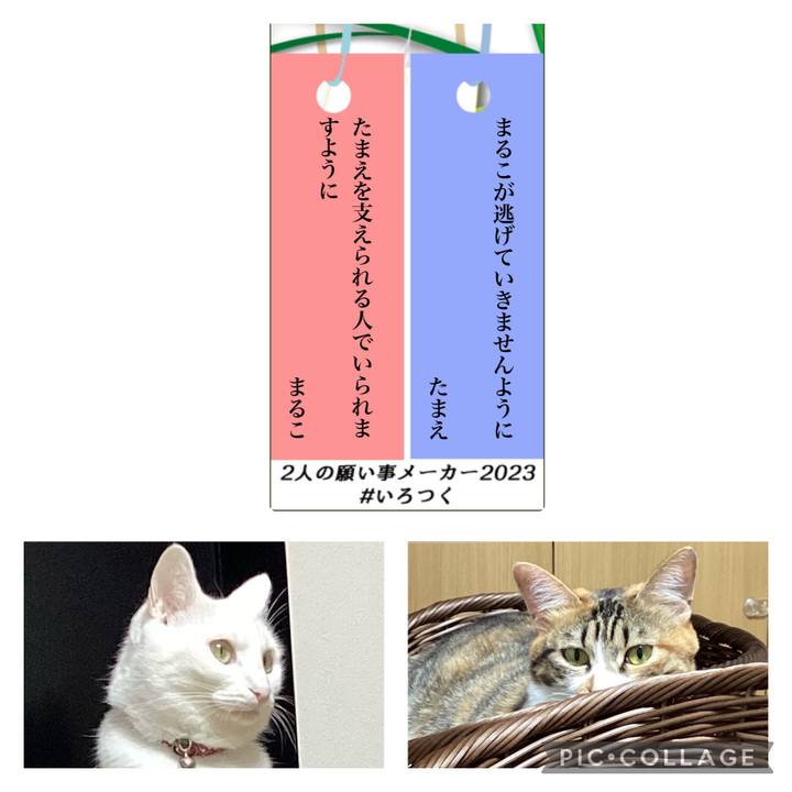 07cad440 eb03 4623 b9da 89d94c561f53 1688729561995