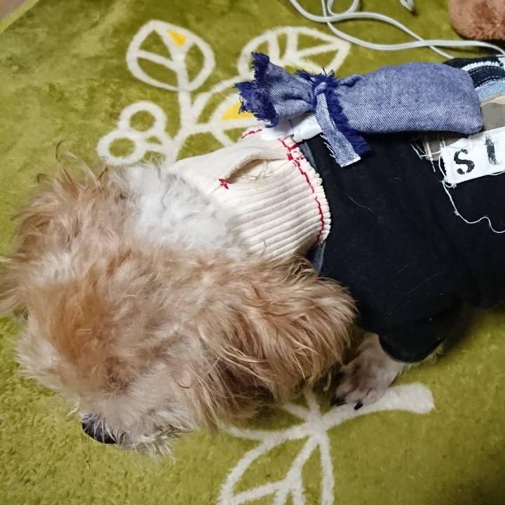 07cae967 7431 4655 a10f f808c32ee461 1556095753065