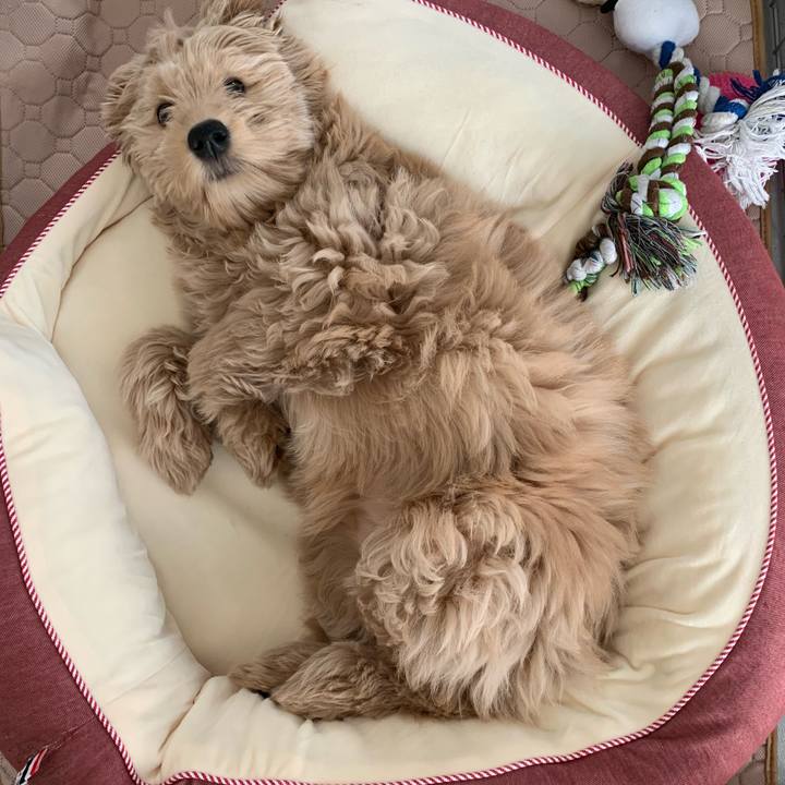 07caf188 25d4 4962 9192 6a10d6fae6dd 1681175643674