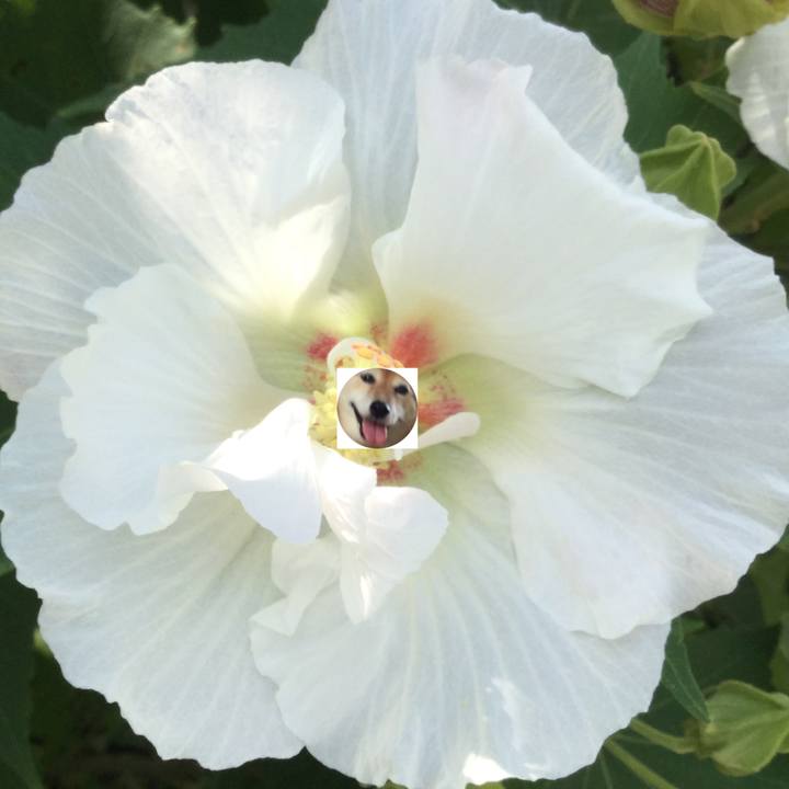 07cb21aa 7ac2 4042 bf12 5dee3243d3c9 1598229832279