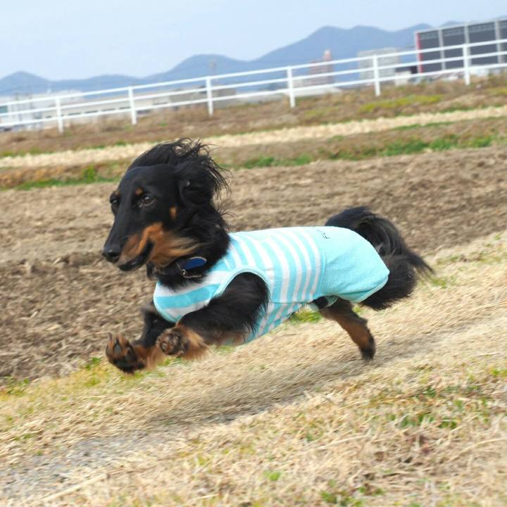 07cb3433 420a 4dfa b7b0 d91f0e611367 1551057848133