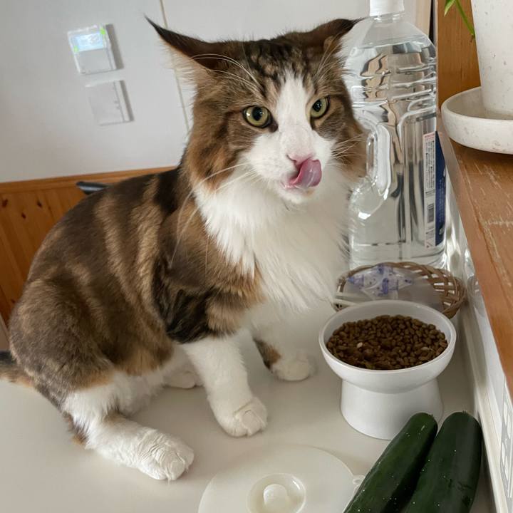 07cb4ae2 8398 4f0c 85e9 0afc91d02135 1662328423385