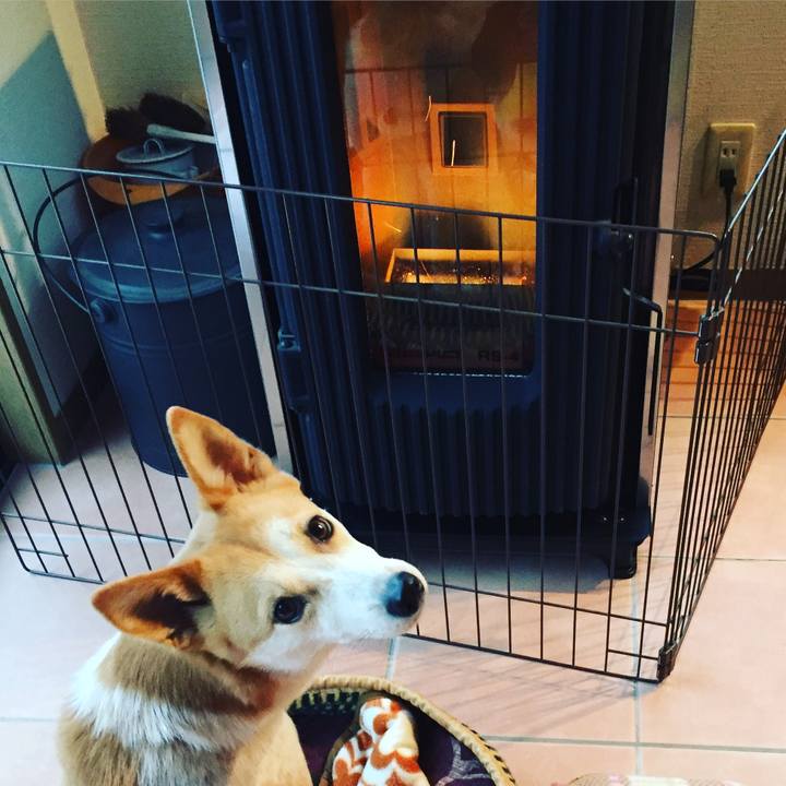 07cb7338 427f 450e 9af0 bc1fd342e9cc 1516676933505