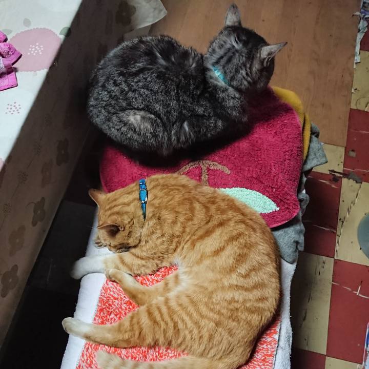 07cb7e45 9e86 448f 87ce 728a87dde560 1555491872442