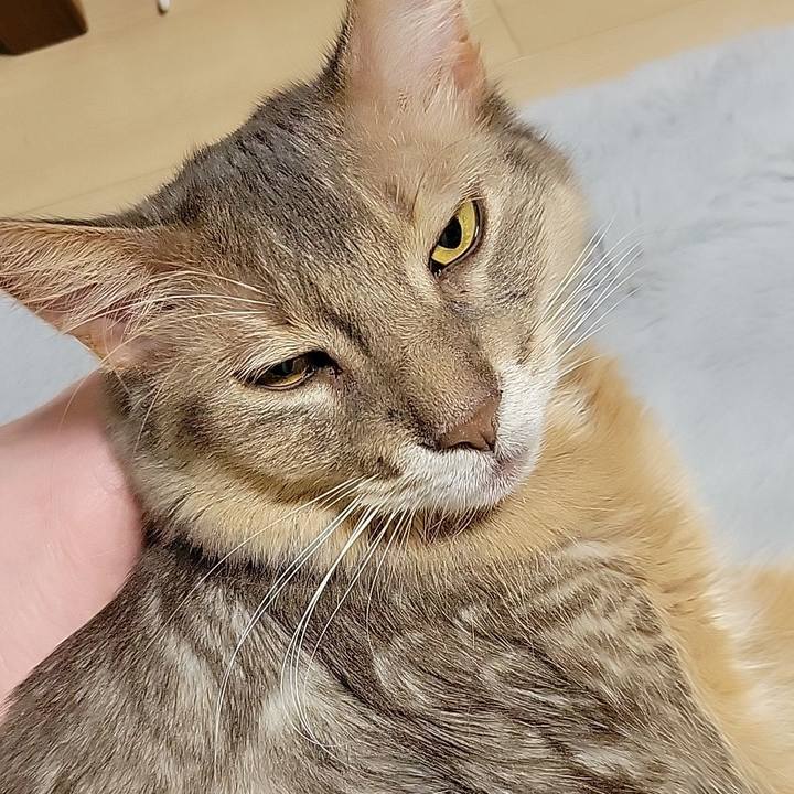 07cbce56 d378 4080 962c 42ac9a1eed23 1670476582249