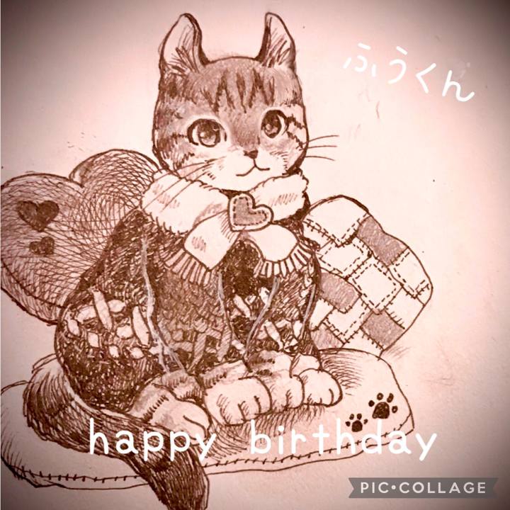 07cc02f7 7334 4319 bef9 21688e55b0f4 1612948880056