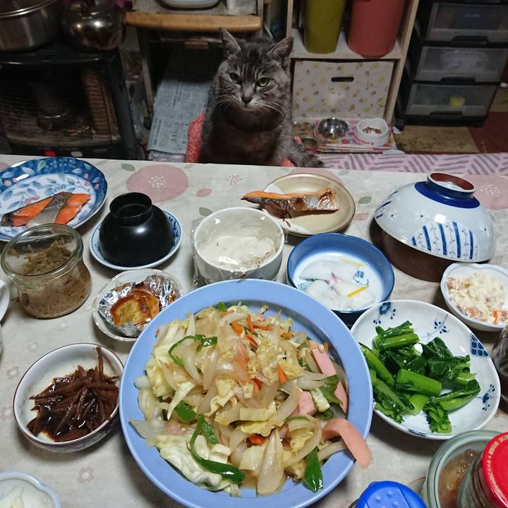 07cc07b5 73d7 4bb8 aee6 a5383161cd15 1584964940144