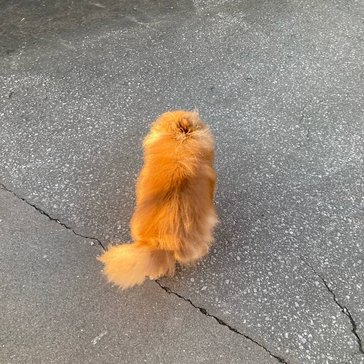 07cc12e6 1bfb 4806 a74b da570216c65b 1724014815164