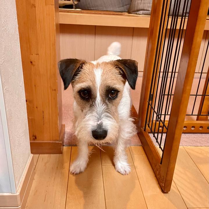 07cc294e bd5d 4aae ba55 0f7226983a44 1650284866813