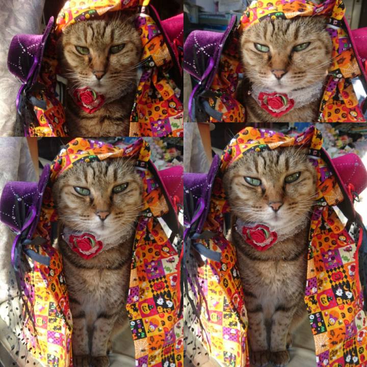 07cc38ae 6dce 4319 ae2d f85ef900dbd5 1761954540620