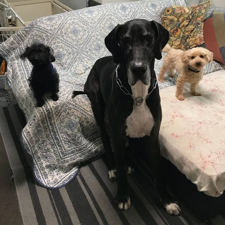 07cc4b0e acb8 4656 9e7e 9c4420ccaaad 1526511071629