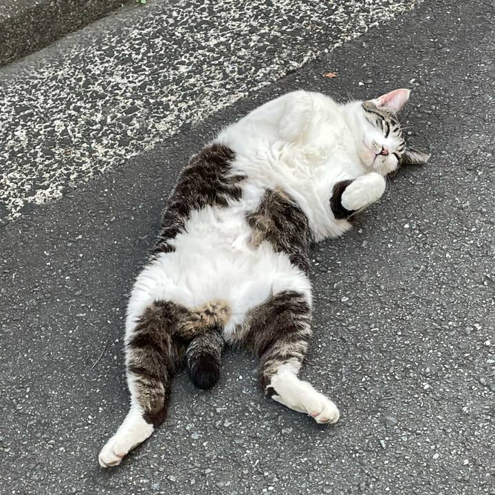 07cc6987 fa1b 42ae 818b a15c47f0e402 1623318483113