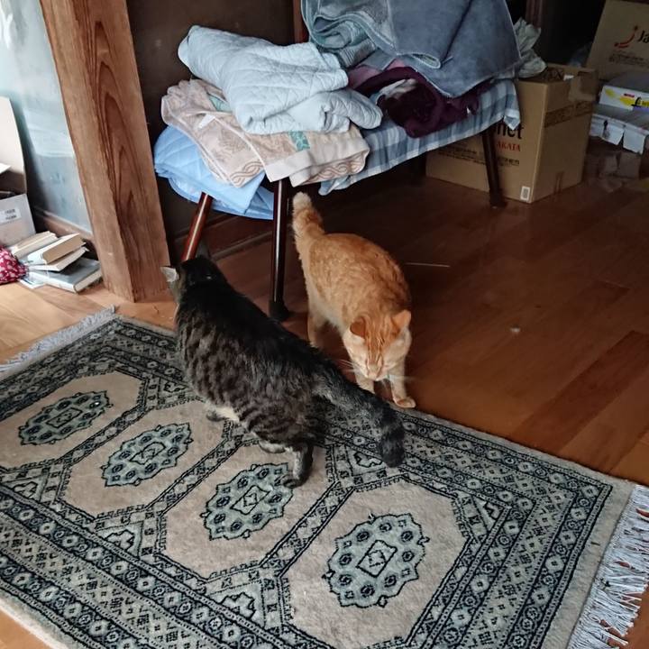 07cc7133 52f9 4245 a496 c55b4f8b522b 1658441584975