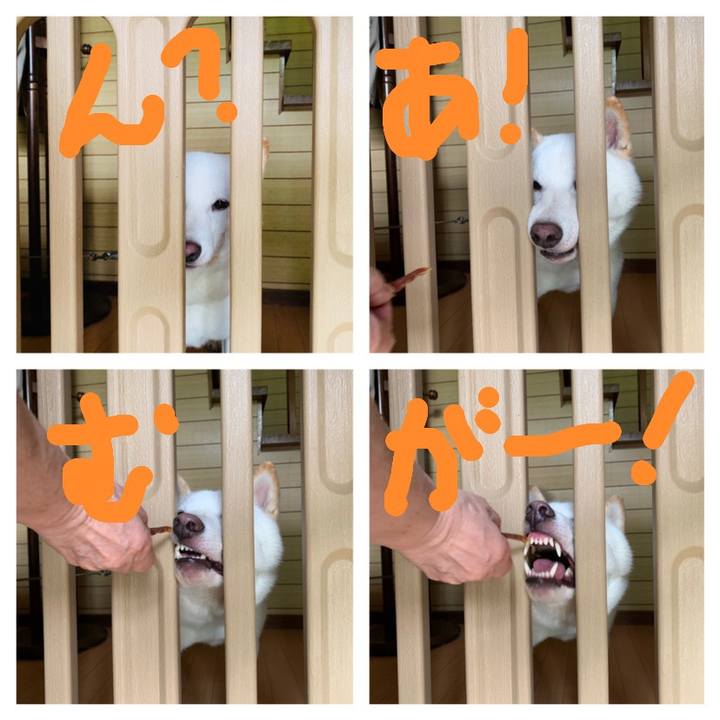 07cc9a57 44ba 44f5 9243 caa47c205afd 1568613878230