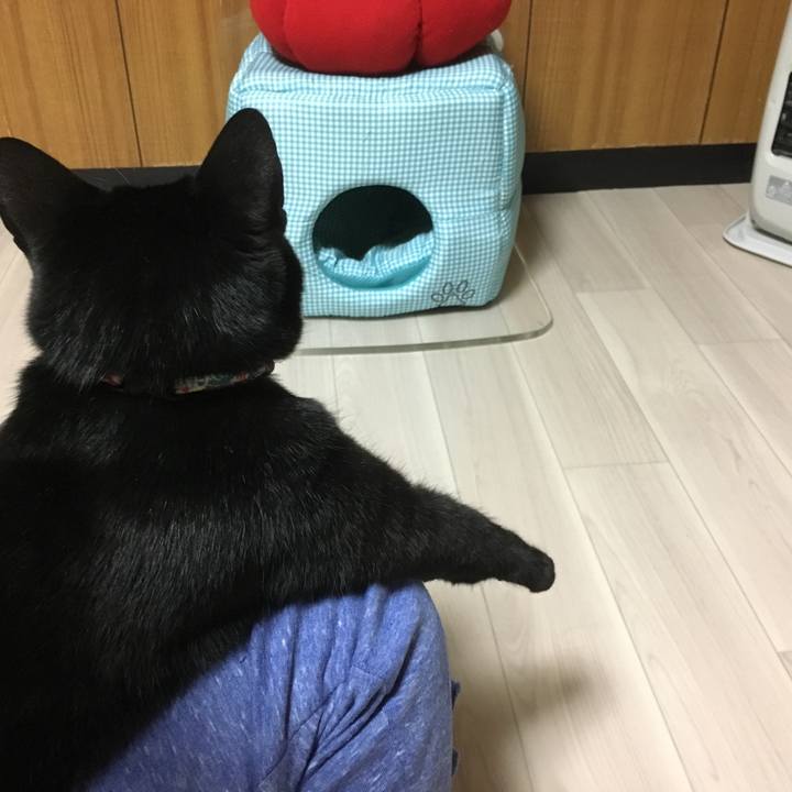 07ccab51 0595 4c1e 9449 72c994336b5e 1510665247700