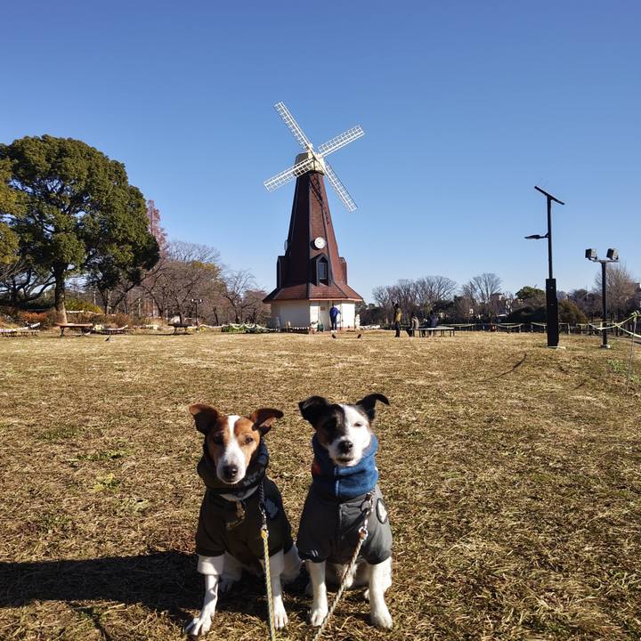 07ccbb47 64cb 4bf9 8b94 113e3e6dea45 1735786234352