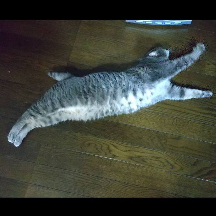 07ccbe02 4995 4d69 bfda c347351af8cf 1621676032787