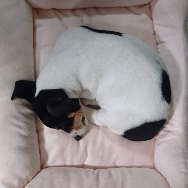 07ccbe5c c4bd 474b 8f6d 2ab91bbb36ce 1542883640982