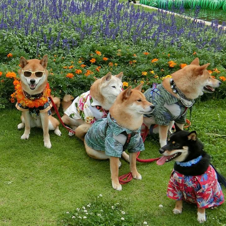 07ccd2e8 f2a1 4988 a1a7 5110735d6b58 1563196563776